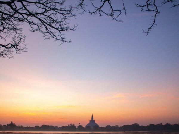 The Mindful Explorer